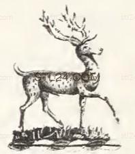 ANIMAL_0179